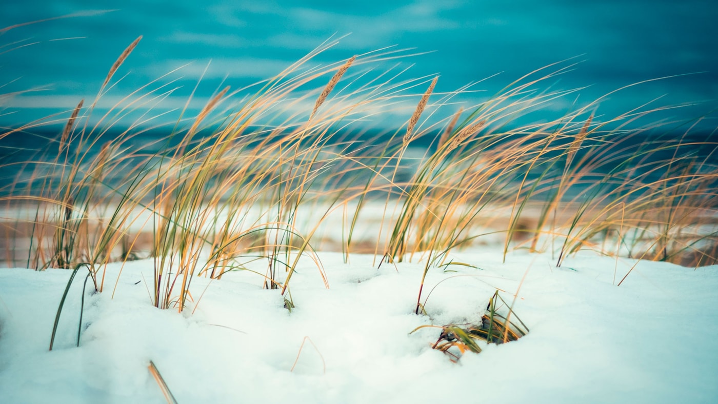 Strå på strand, vinter