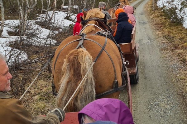 LHL Stjørdal  Koia kanefart
