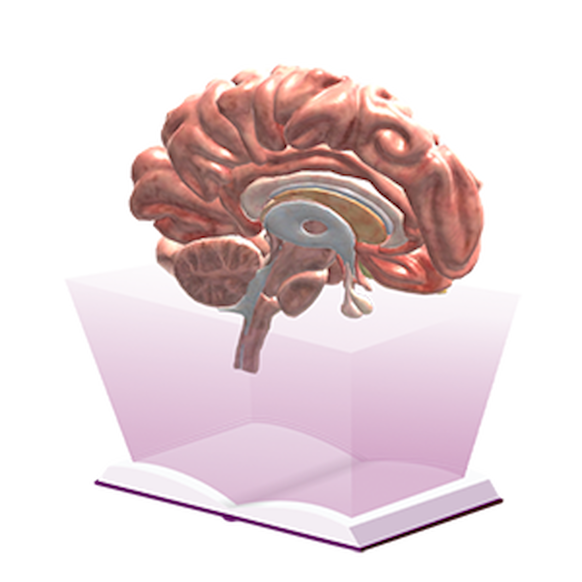 3D-modell fra boken