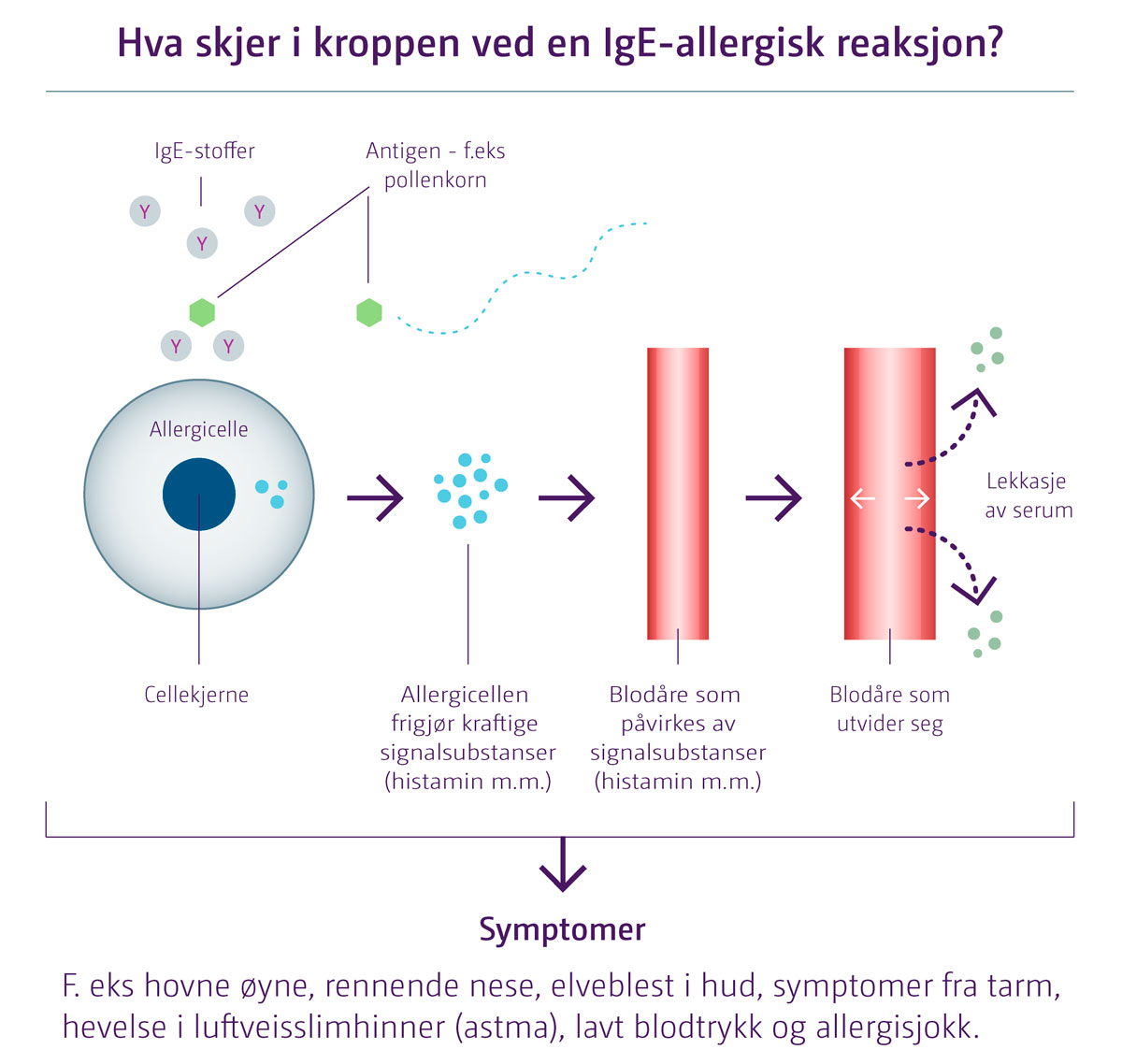 allergisk reaksjon