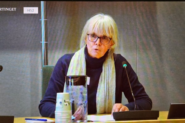 Mari Larsen på høring