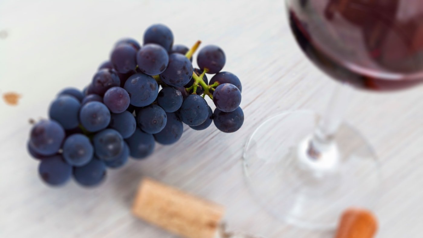 Vin og druer