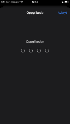 Bilde av steg for installering av Firmaportal for Intune, IOS