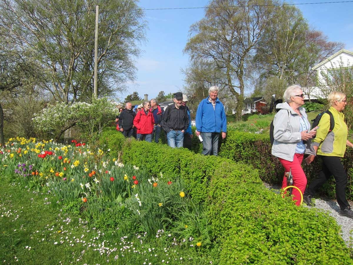 Turgåere på turen Storhaug rundt. Stavanger turistforening