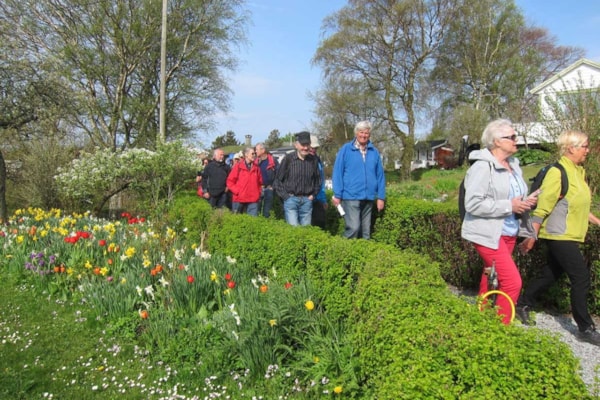 Turgåere på turen Storhaug rundt. Stavanger turistforening
