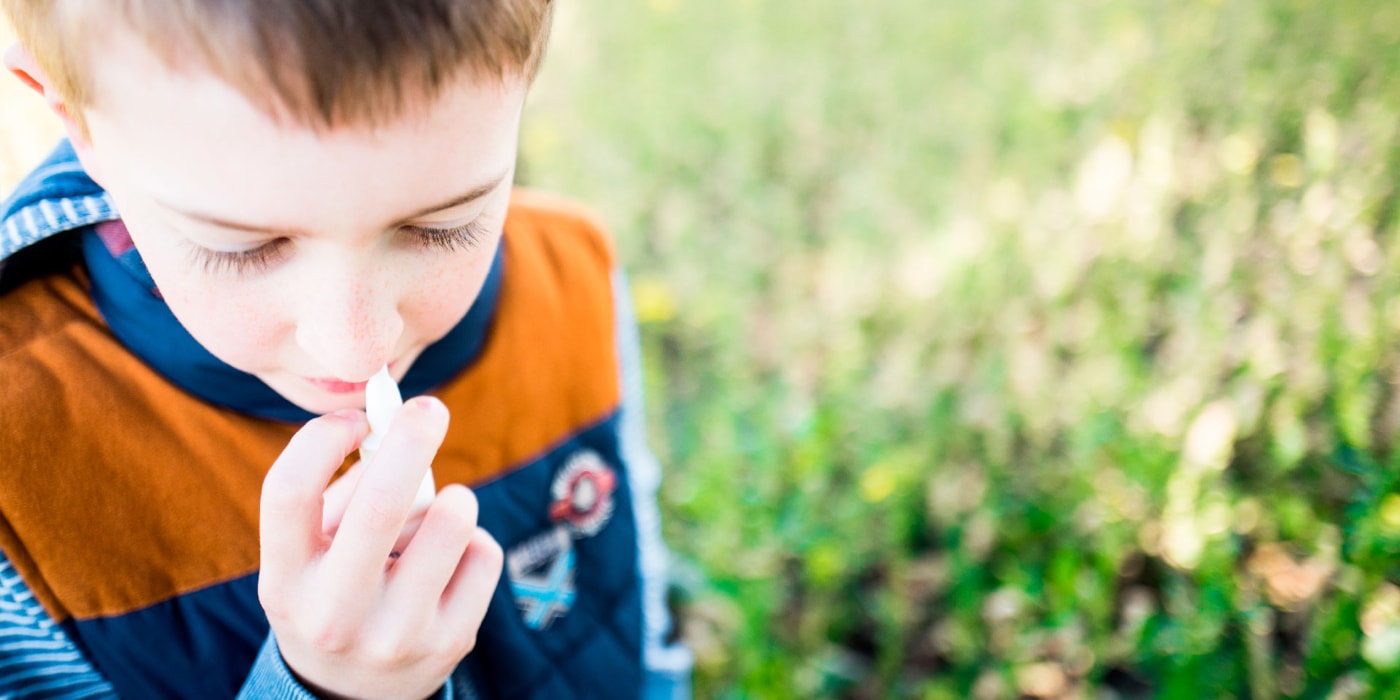 Gutt med nesespray mot allergiplager