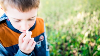 Gutt med nesespray mot allergiplager
