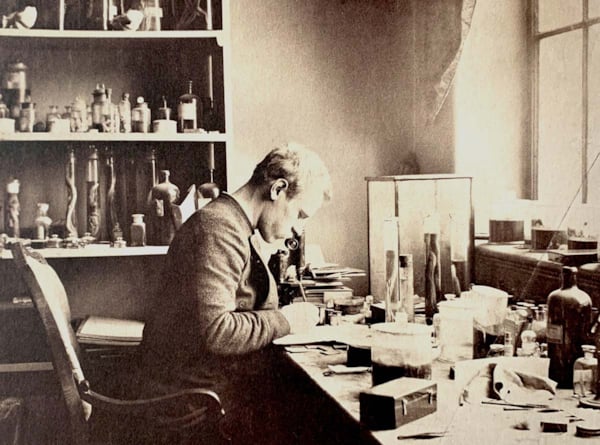 Fridtjof Nansen sitter ved mikroskopet, omgitt av glasskolber med slimål i formalin
