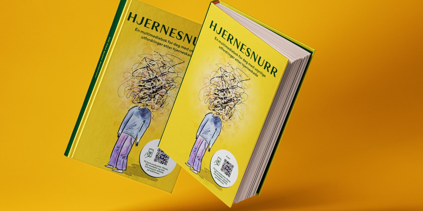 Bokomslag til boken Hjernesnurr