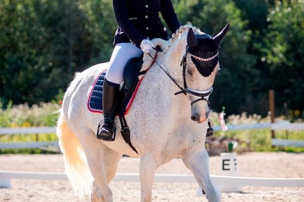 Benedicte rir hesten