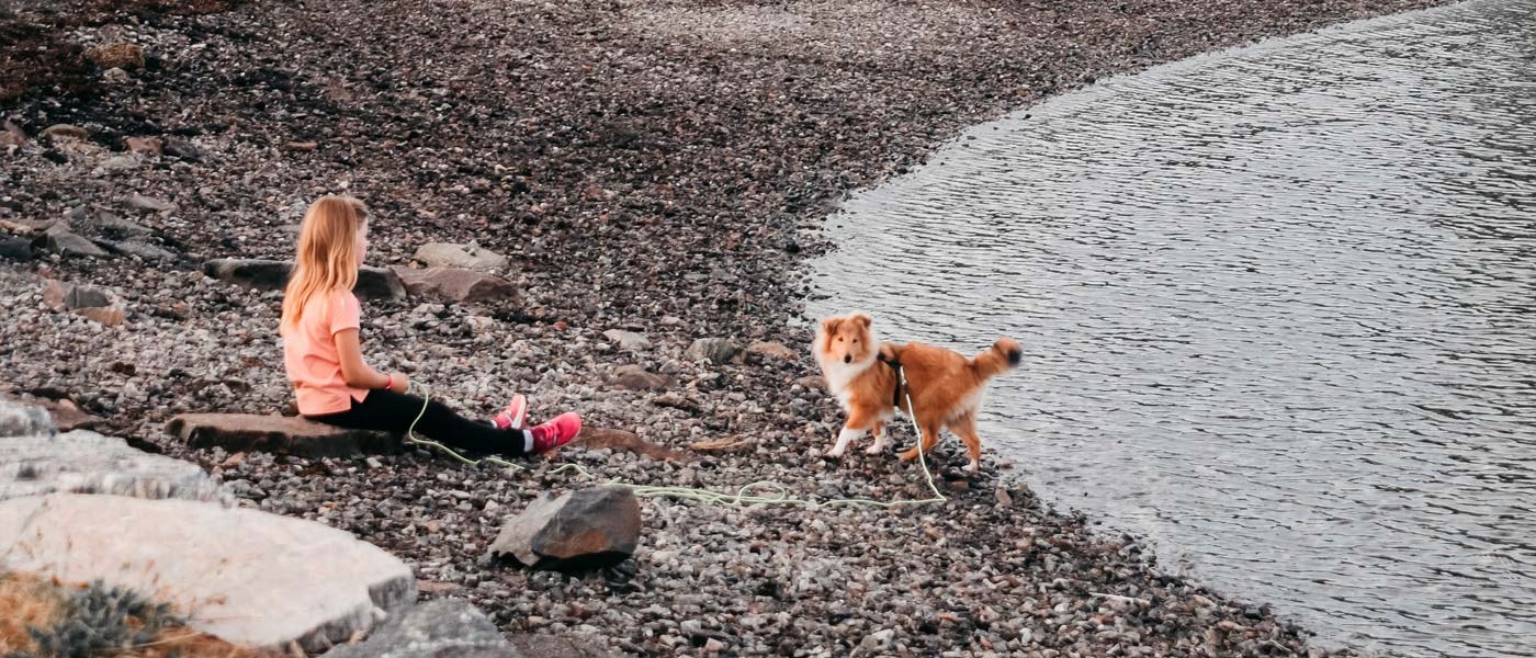 Jente og hund på strand
