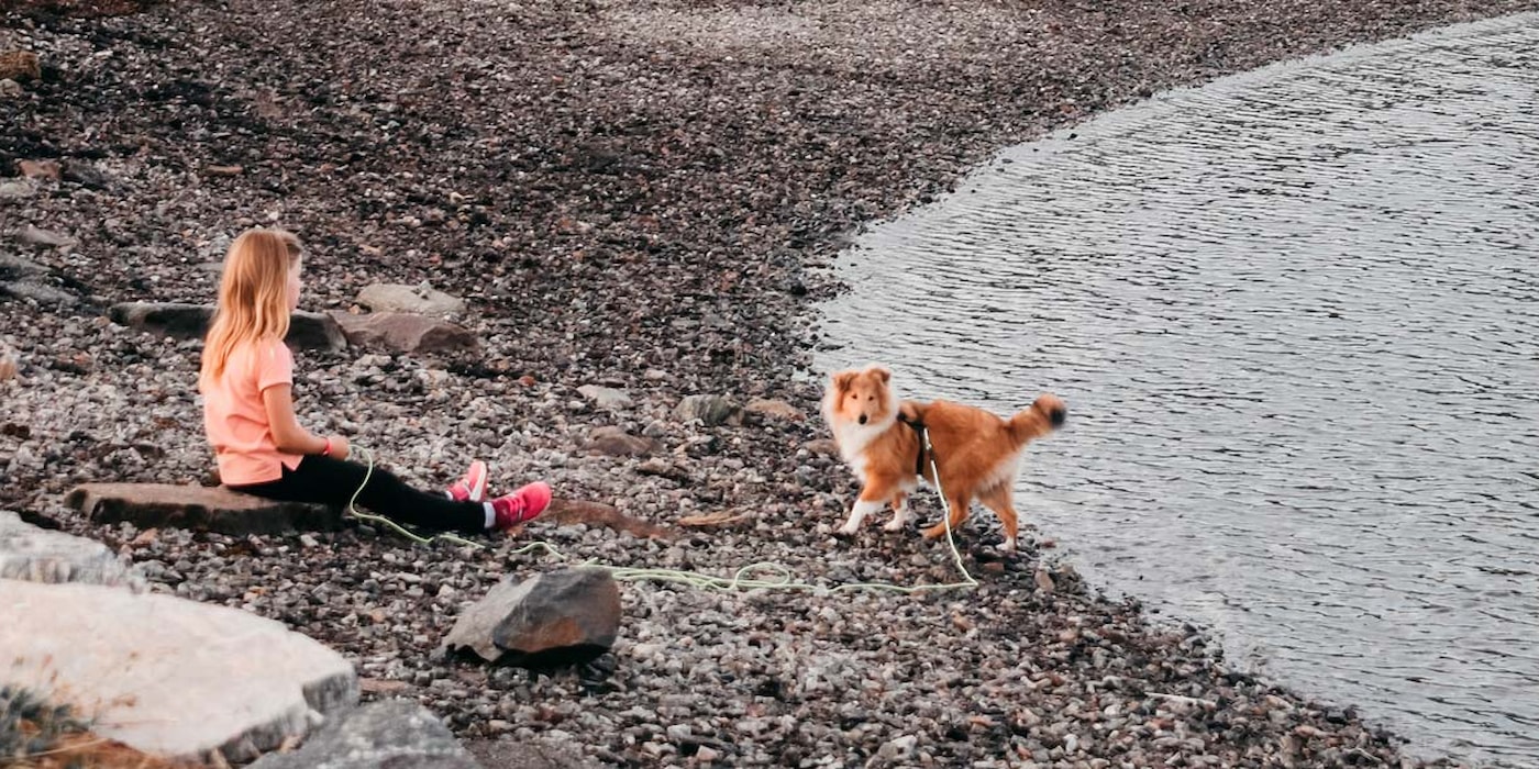Jente og hund på strand