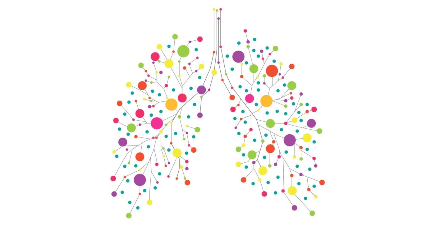 Illustrasjon av lunger