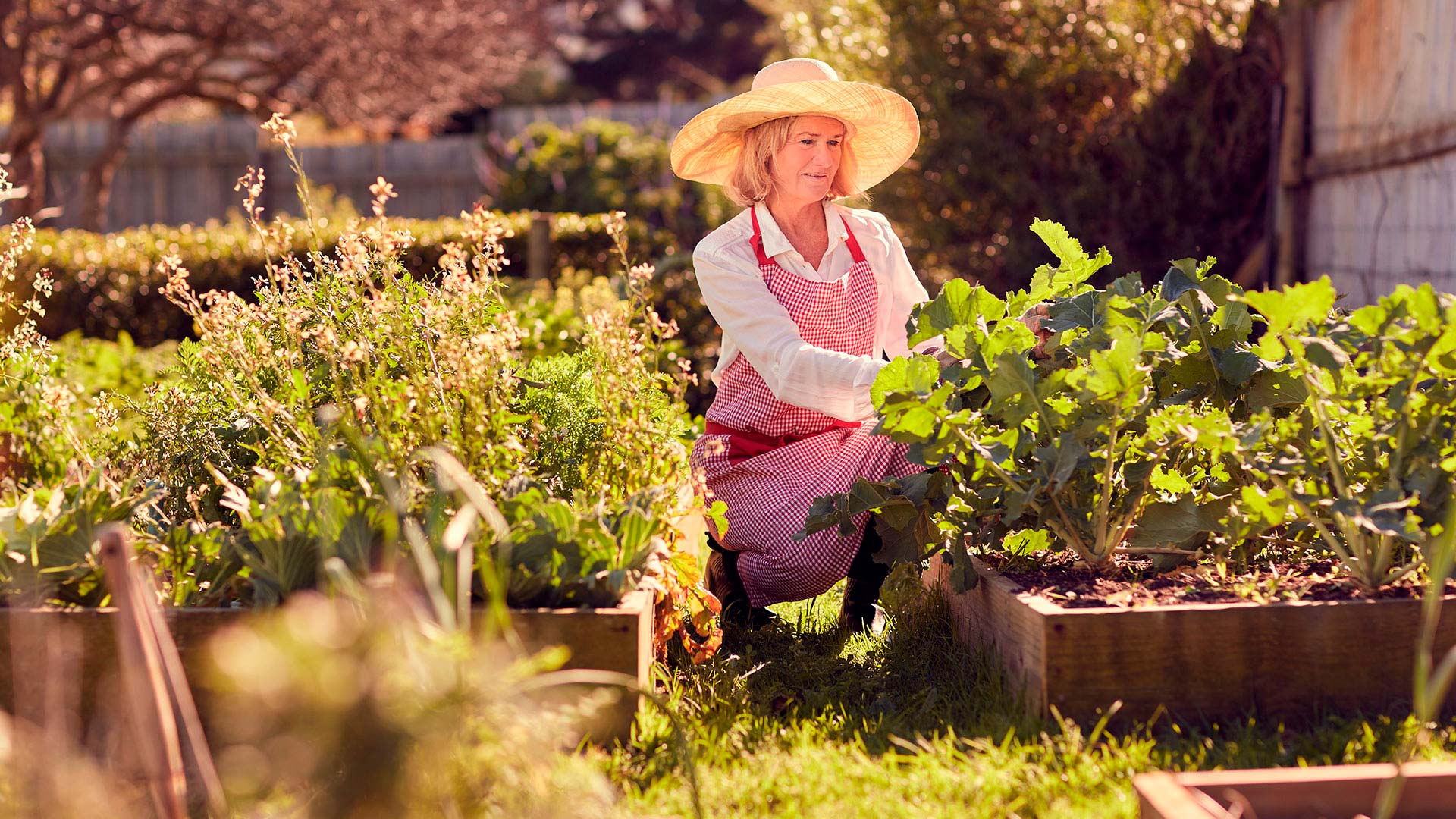 Bilde av en dame som planter i hagen.
