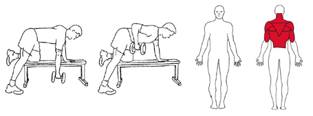 Illustrasjonsbilde av kne- og håndstøttende roing