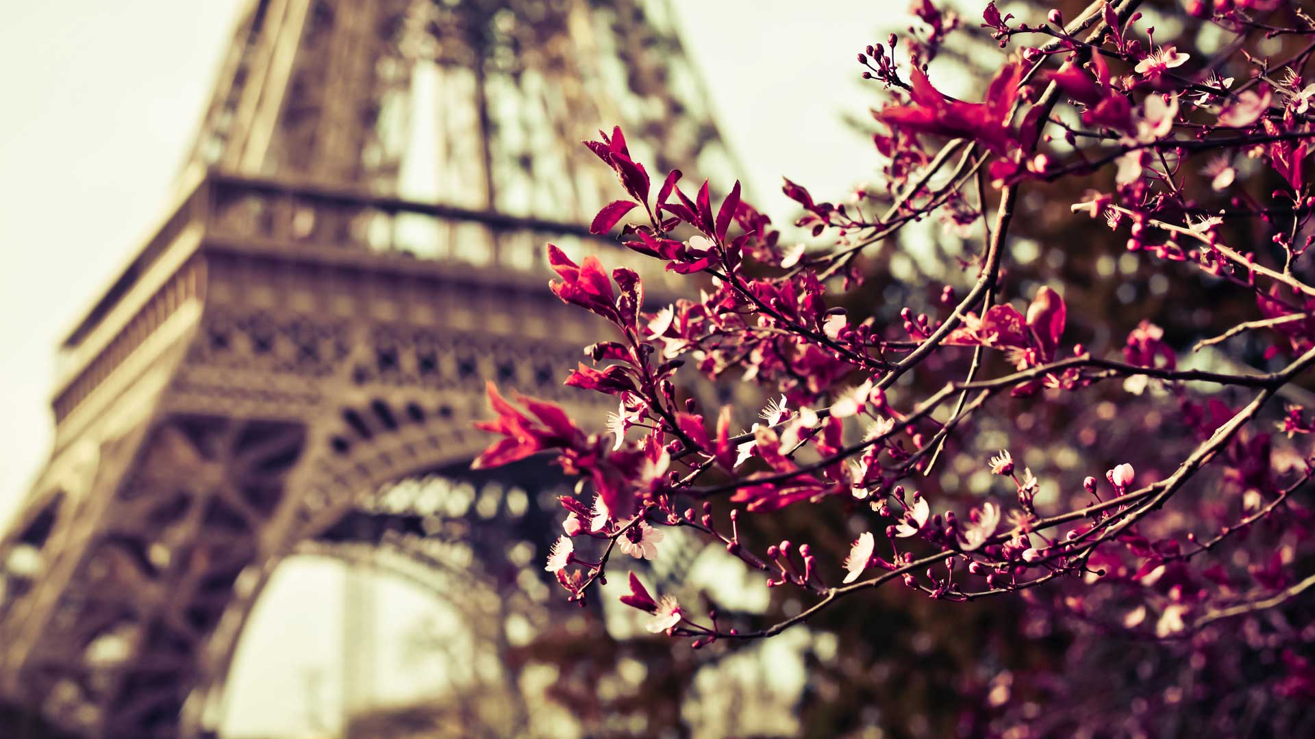 Paris, Eiffeltårnet