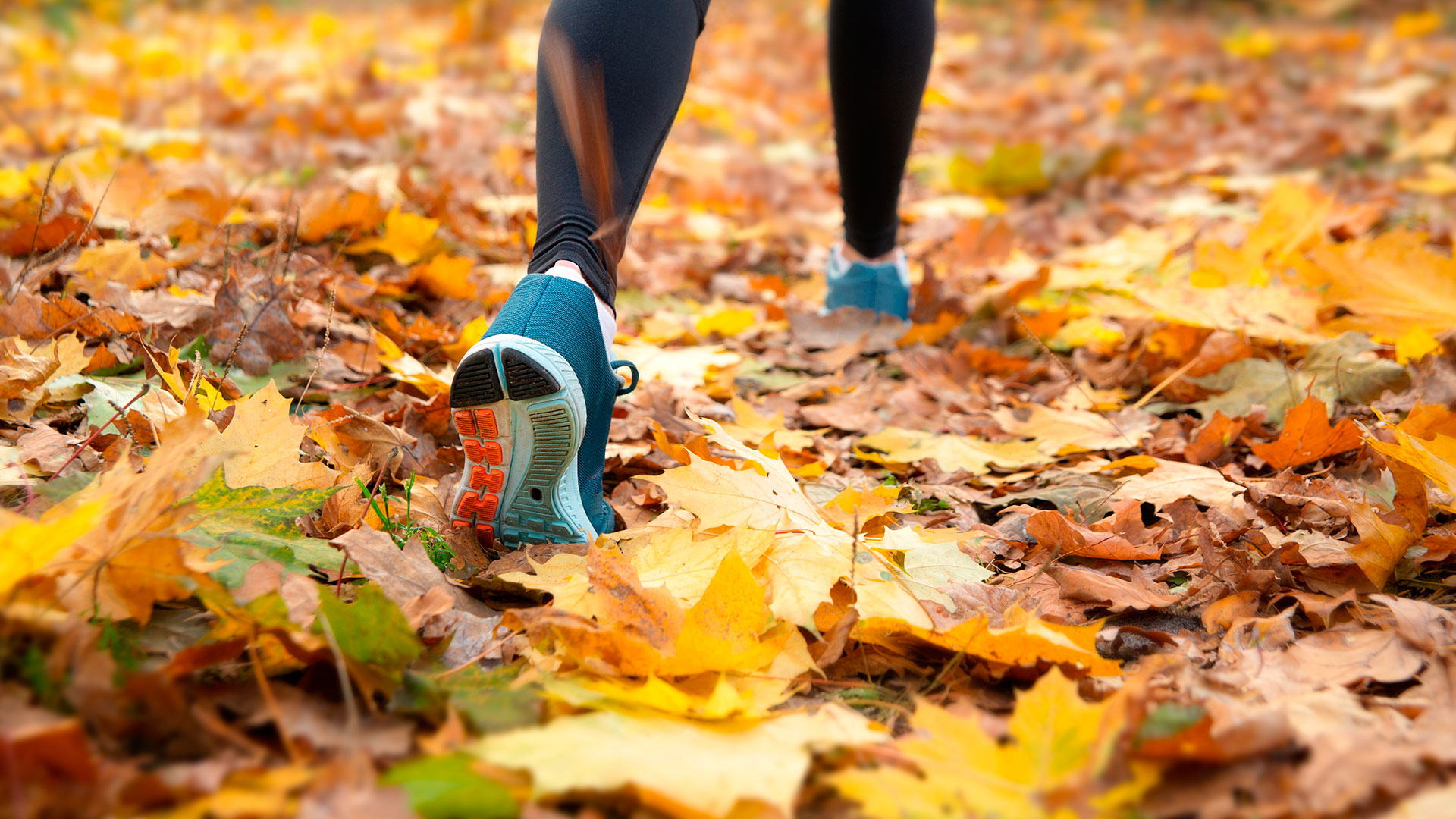Nærbilde av joggesko på løvblader om høsten.